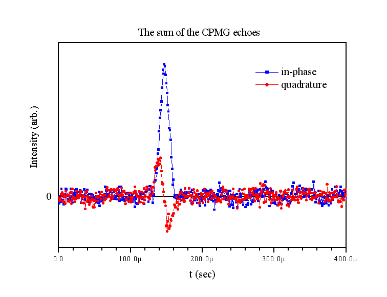 cpmg echoes.JPG (125723 bytes)